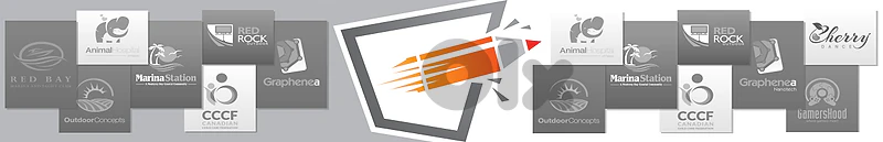 Professional Graphic Designer — Available for Remote Roles