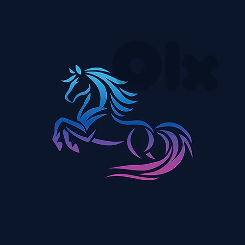 Professional Graphic Designer — Available for Remote Roles