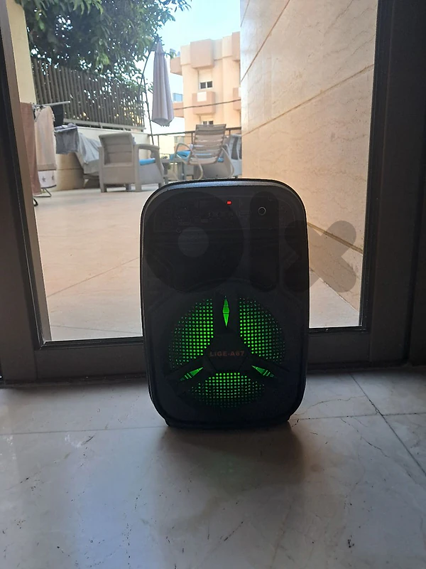speaker