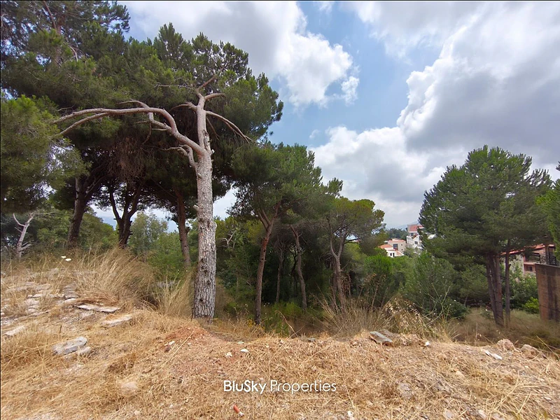 Land For SALE In Baabdat أرض للبيع #SS