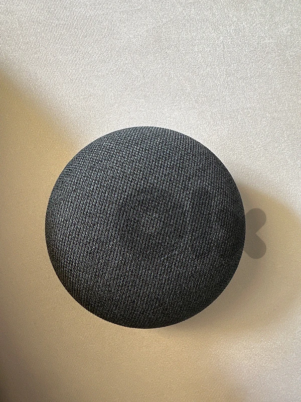 google home alexa
