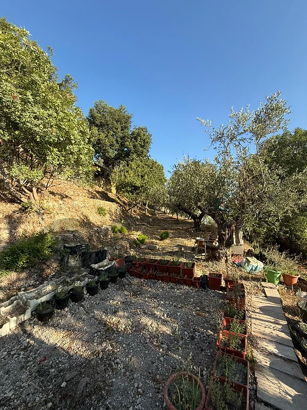 Land with Mountain View for Sale in Barja