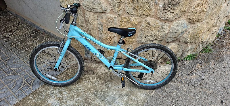 GIANT Alux 20In 7 gears
