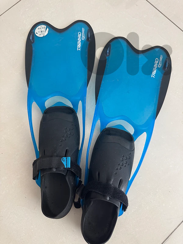 diving fins , flippers diving fins , flippers