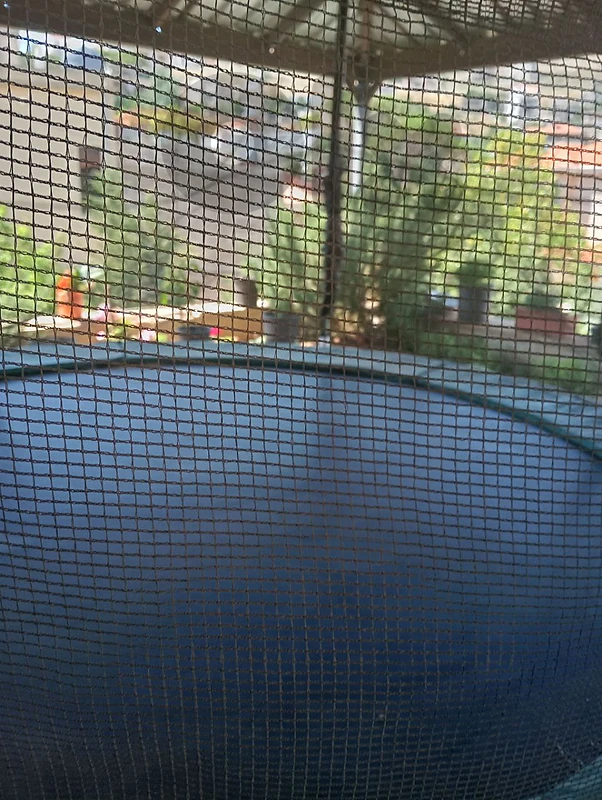 trampoline