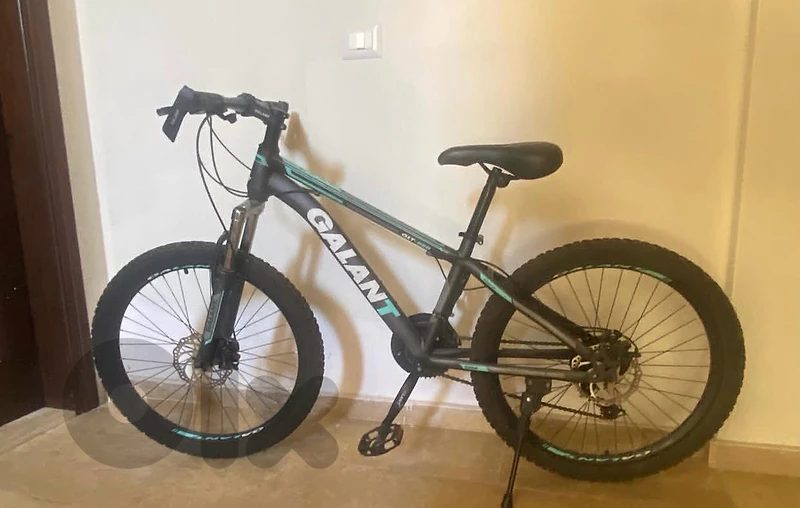 Galant MTB 660 bike