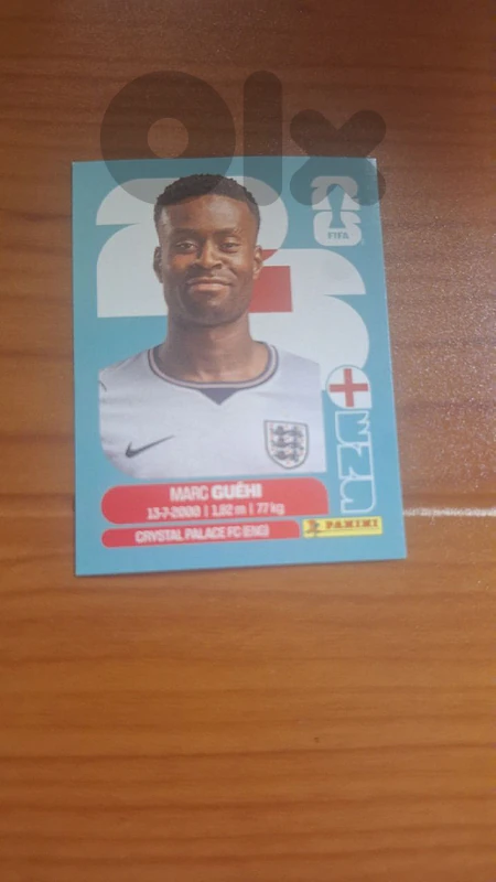 panini sticker