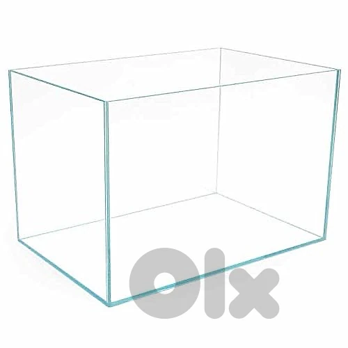 glass aquarium