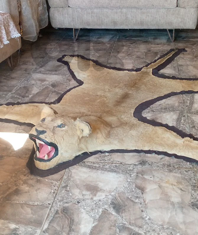 قطعة ما في غيرها بي لبنان