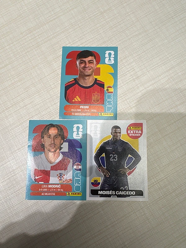 PANINI STICKERS