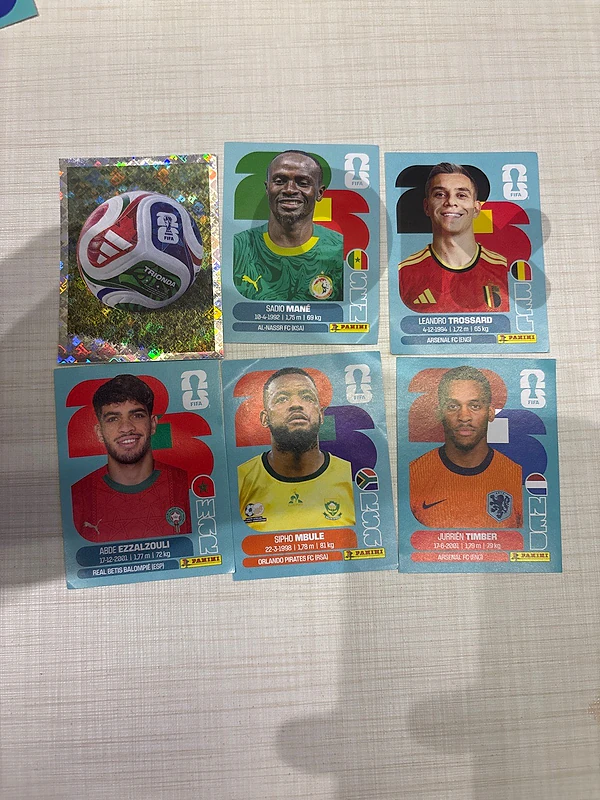 panini 6 stickers (can be replaced)