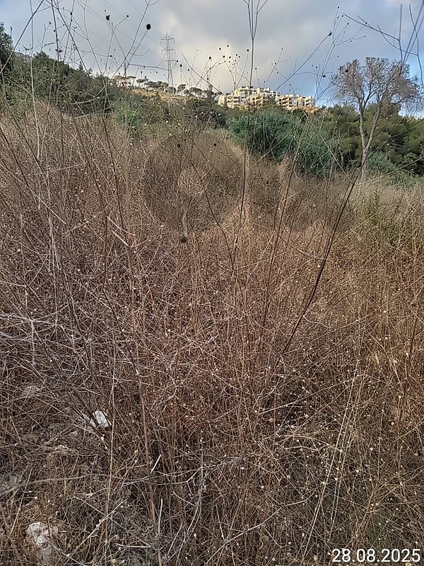 Land for sale - Baabdat