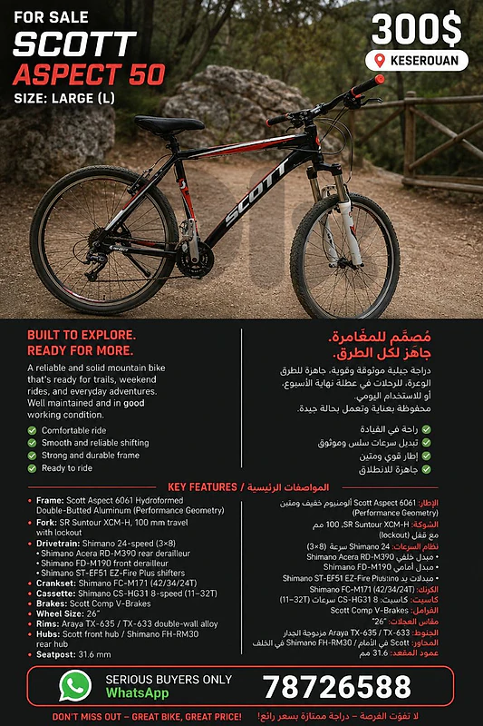 Mountain bike