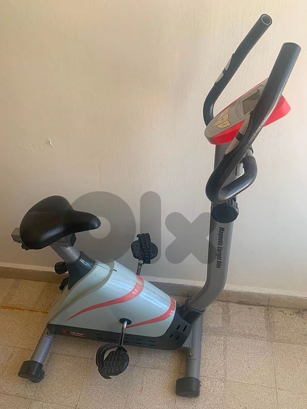 Life Gear Magnetic Upright Exercise Bike
