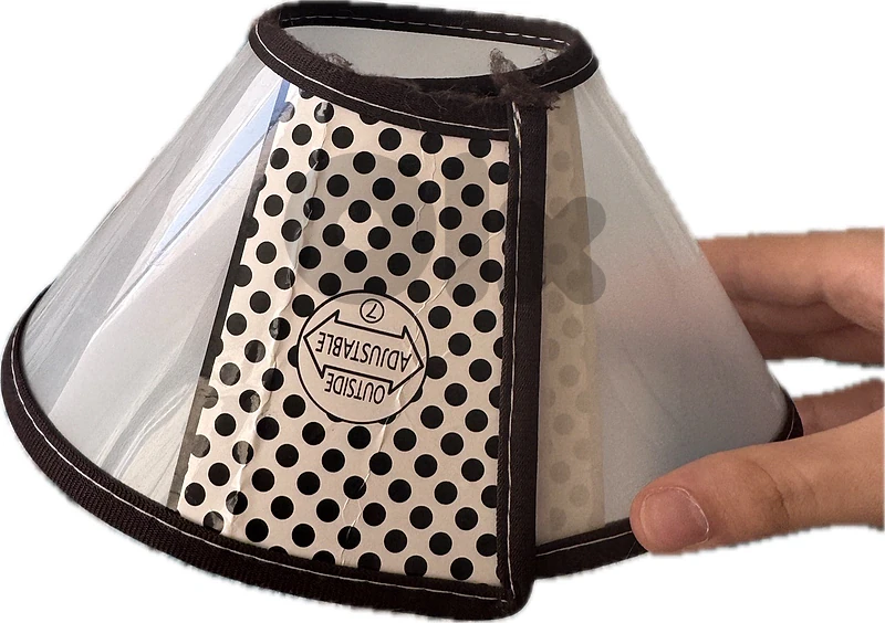 Pet Recovery Collar