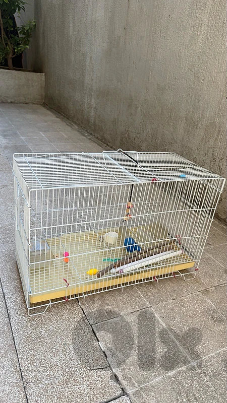 Bird Cage | Good Condition