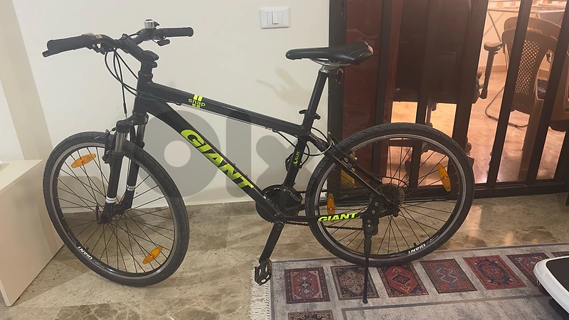 Bicycle Giant Snap
