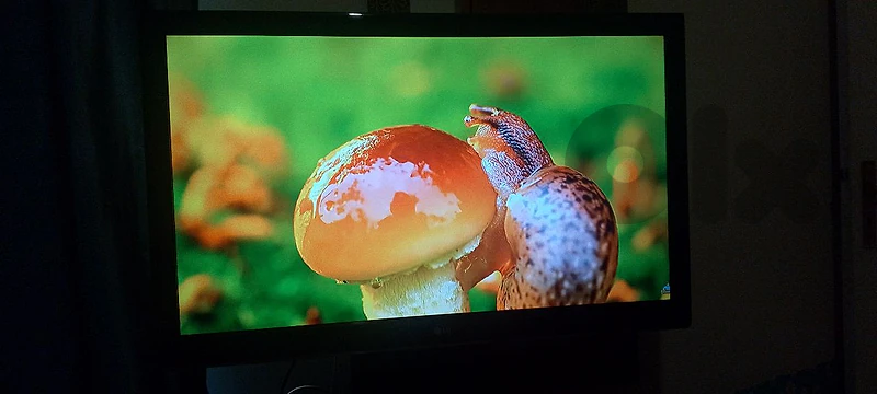 full hd LG 43 inch tv