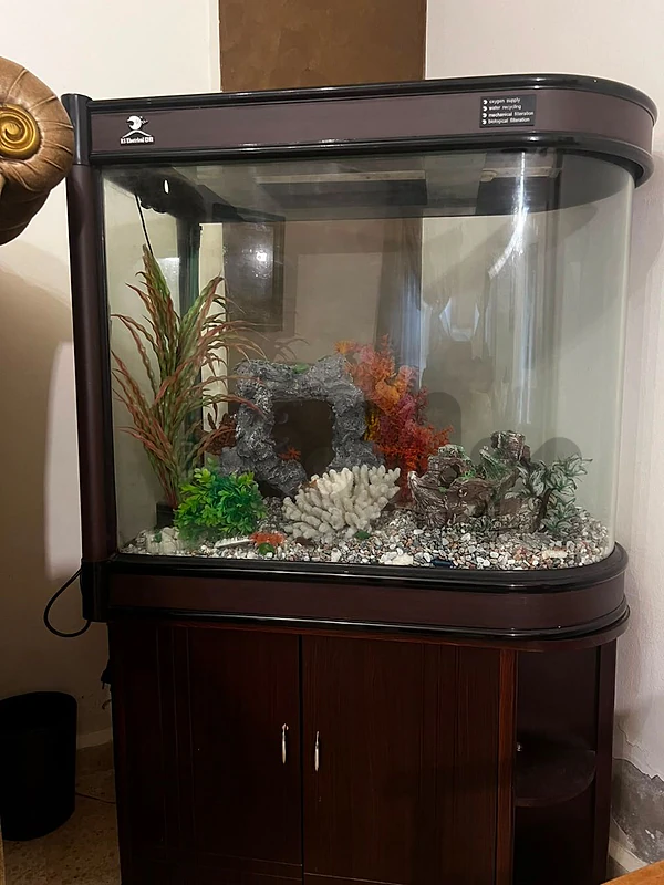 aquarium