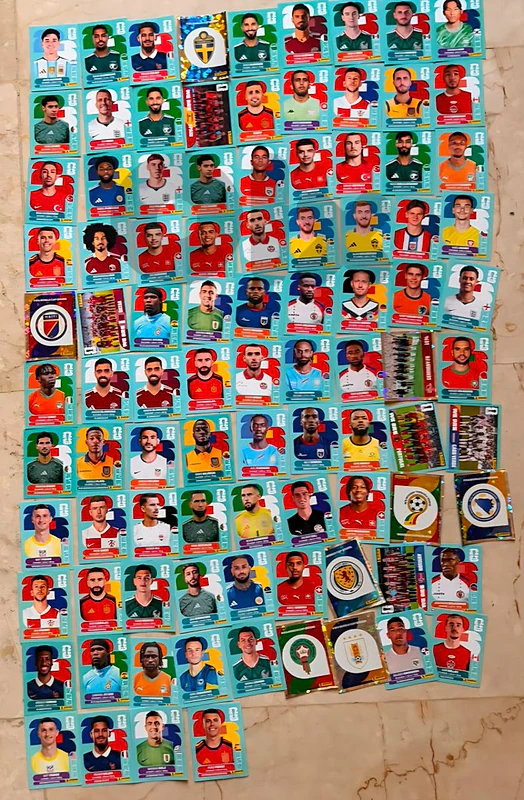 Panini stickers
