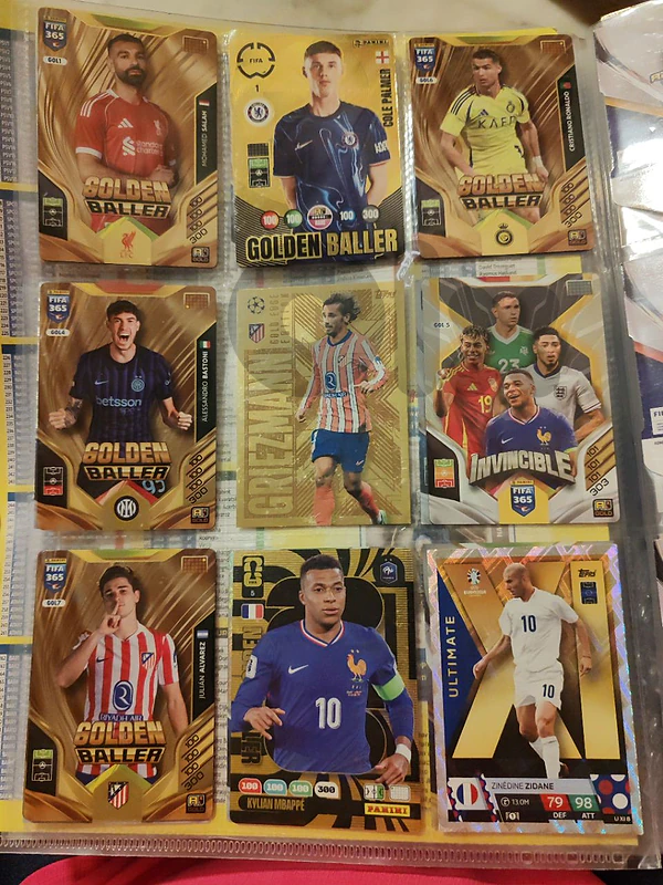 panini cards