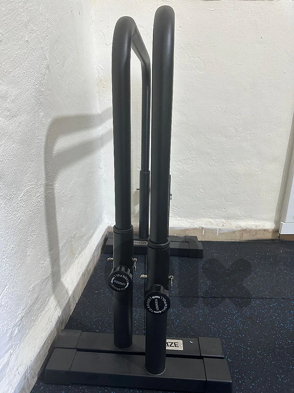blaze dips parallel bars