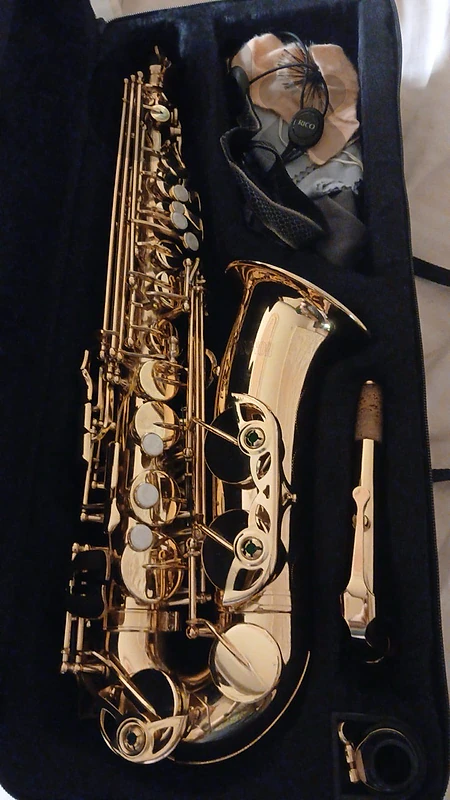 Alto Saxophone