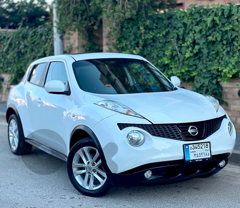 Nissan Juke 2013 Juke 2013