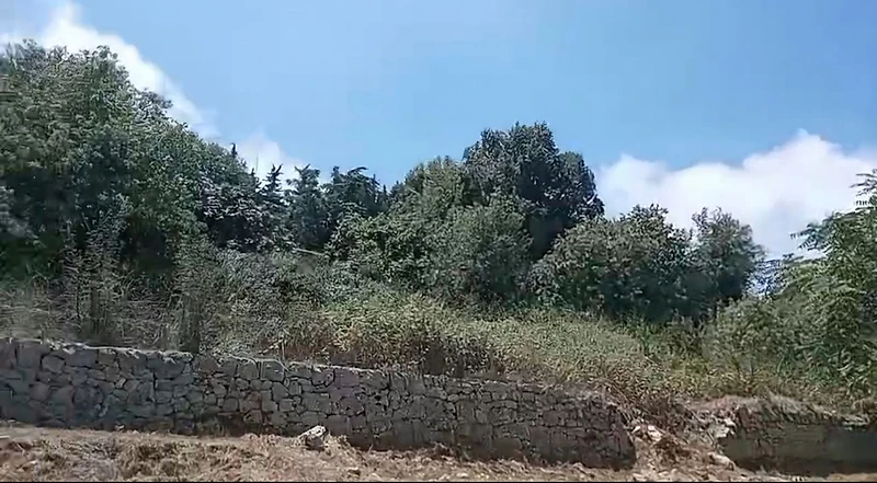 Partnership Land in Ajaltoun