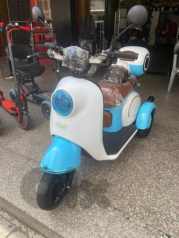 Electric trycicle
