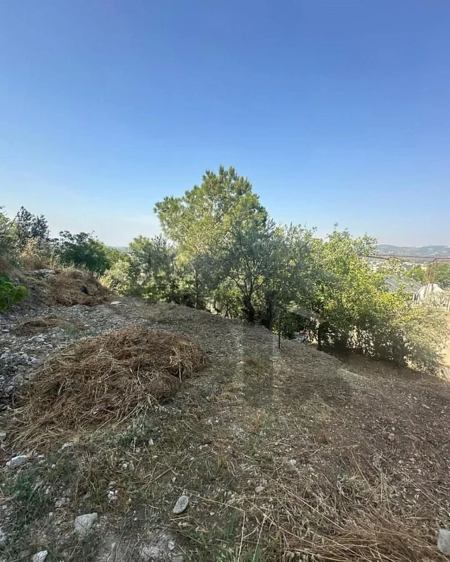 prime location land plot for sale Dik El Mehdi