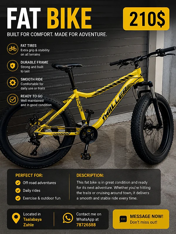 fat Bicycle