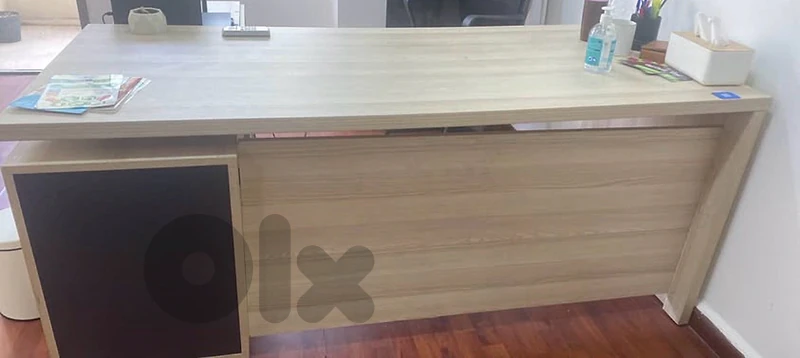 Office Desk Duo