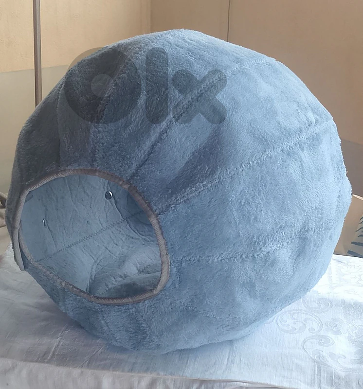 cat  bed