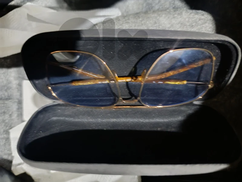 Visique Gold Frame Eyeglasses