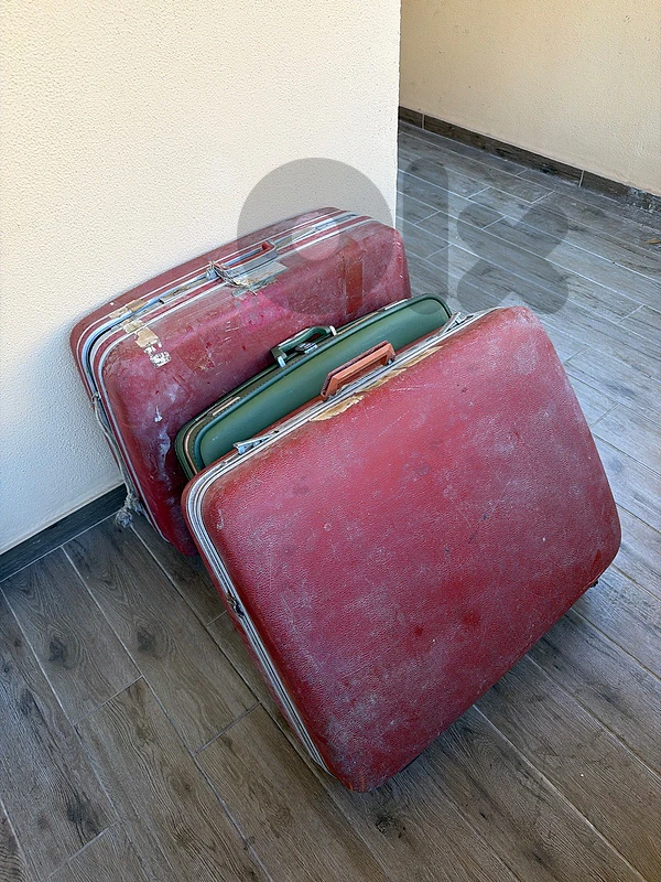 Vintage Hard-Shell Suitcase Set – Retro Antique Luggage (3 Pieces)