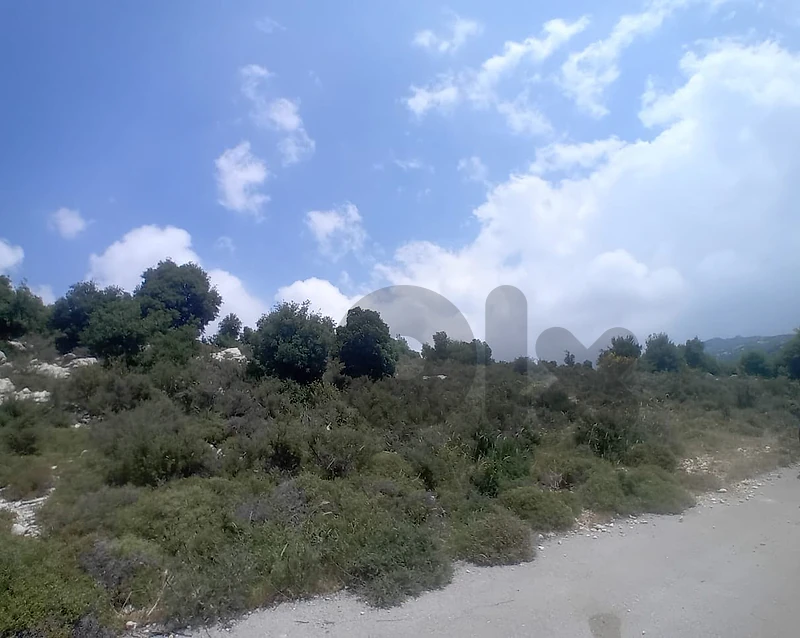 Land for Sale in Assia, Batroun أرض للبيع في آسيا، البترون