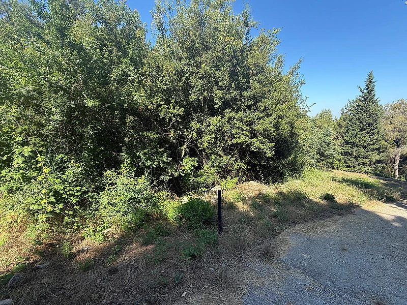 🌿 Land for Sale in Kfour | 900 sqm | Main Road | $200,000