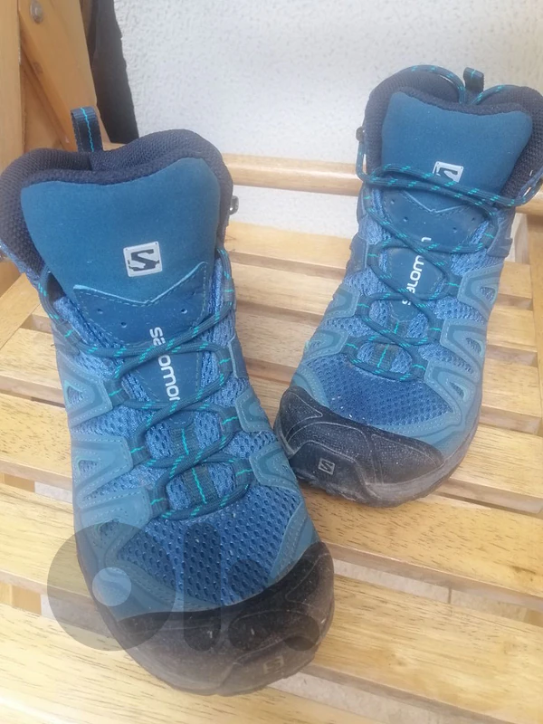 Salomon Hiking Shoes