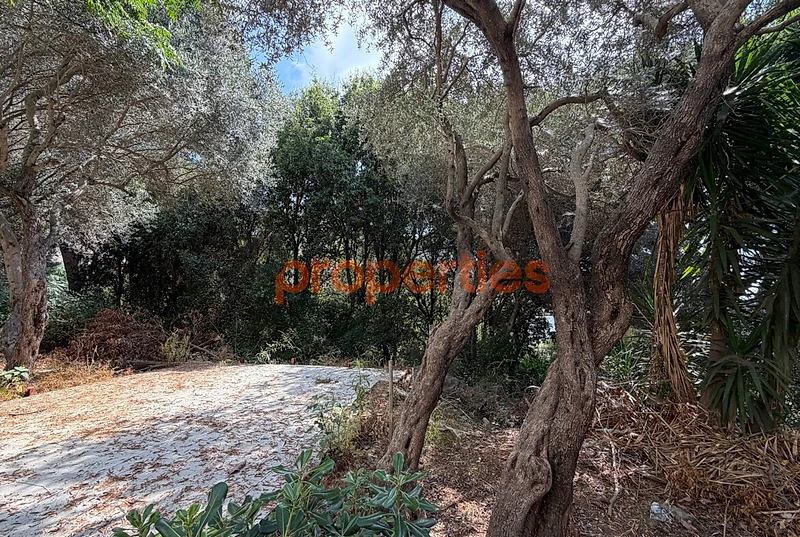 Land For Sale In Ain Saadeh-  ارض للبيع في عين سعاده CPJW33
