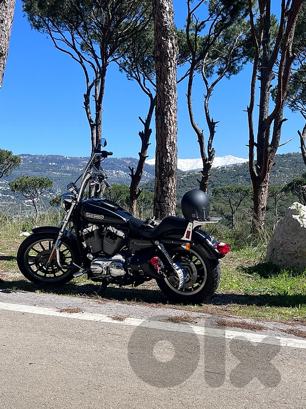 sportster 1200