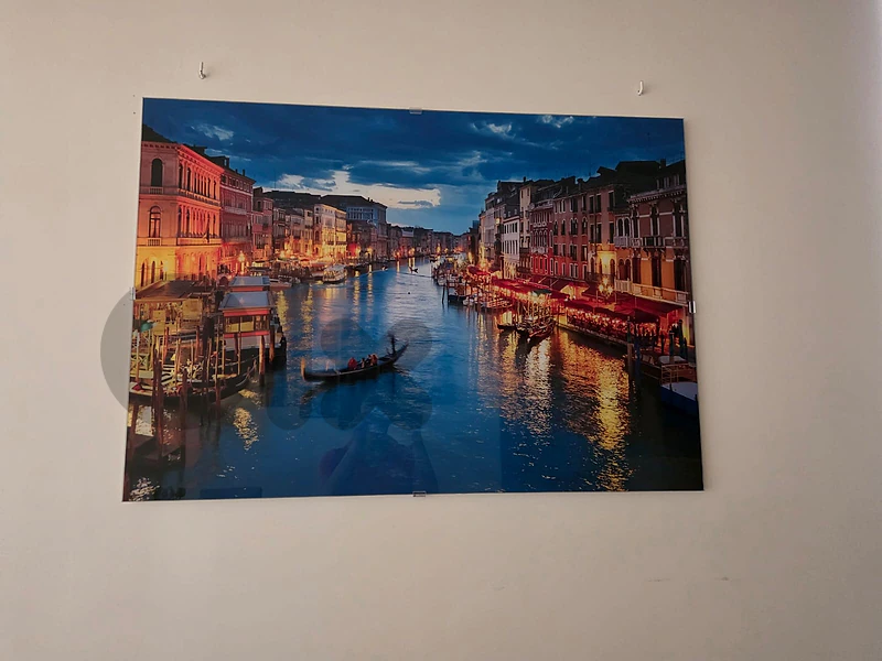 Venice Portrait - Like New
