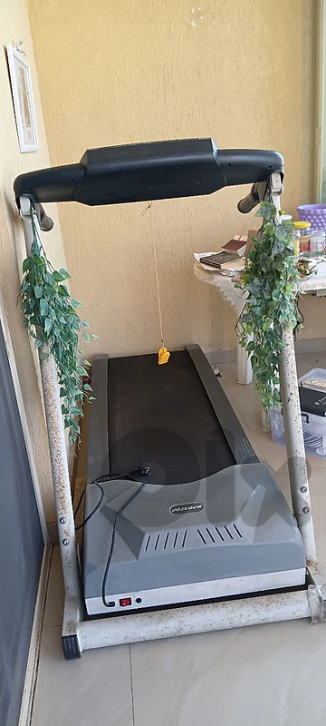 treadmill