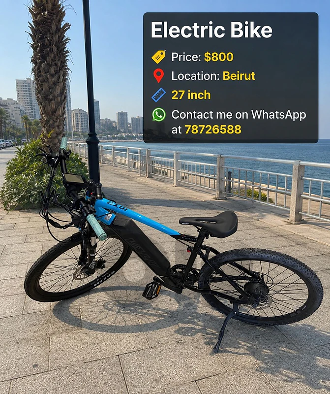 electric bike