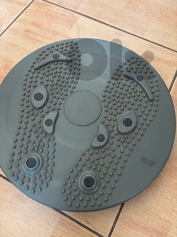 waist twisting disc