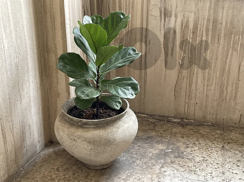 Vintage Eternit Fiber Cement Round Planter – Mediterranean Style