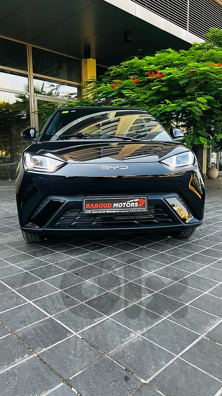 BYD Seagull 2025 BYD Seagull 2025 Flying Edition BYD Seagull 2025 BYD Seagull 2025 Flying Edition