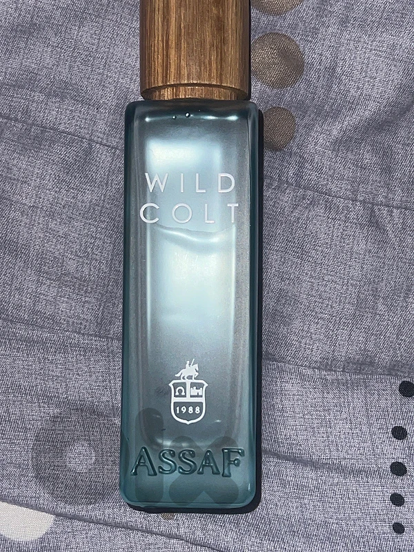 wild colt