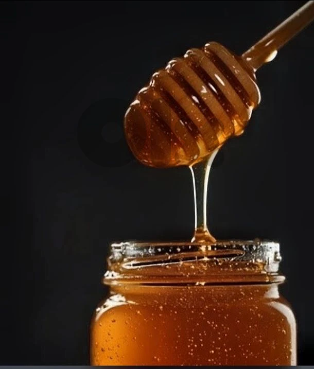 عكار. بيروت