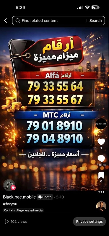 79335564
